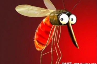 世界上最危险的动物是什么 平均每年有7亿人被伤...
