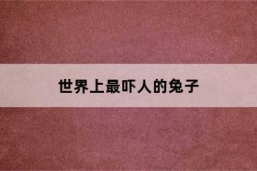世界上最吓人的兔子