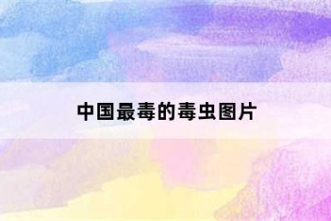 中国最毒的毒虫图片