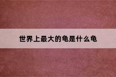 世界上最大的龟是什么龟