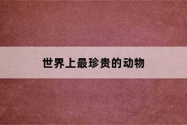 世界上最珍贵的动物