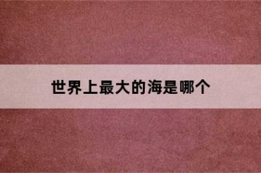 世界上最大的海是哪个