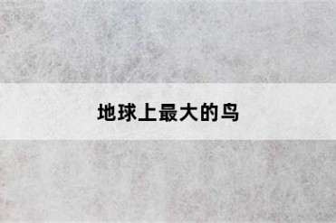 地球上最大的鸟