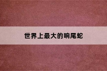 世界上最大的响尾蛇
