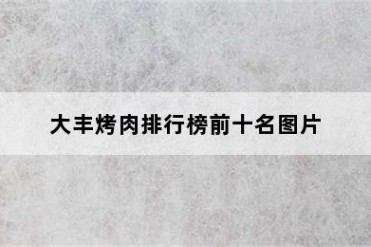 大丰烤肉排行榜前十名图片