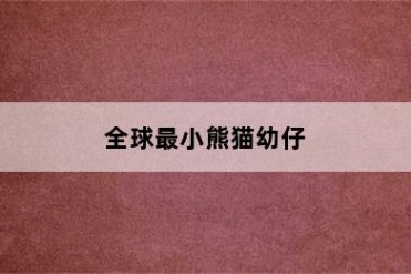 全球最小熊猫幼仔