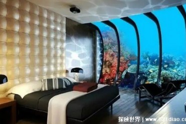 世界上最豪华的酒店是哪个 住一晚要4万多人民币...