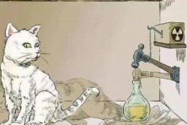  对于薛定谔的猫理论 其实有着两种解释（量子力学思维实验）