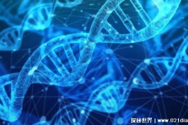  科学家大力发展基因治疗 未来或许治愈癌症（很有可能实现）