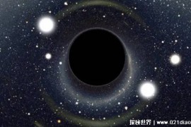 如何在黑洞中存活下来？面临某种完全陌生的世界（毫无机会）