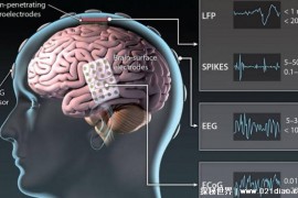 大脑信号可转化为语音 脑机接口将完成突破（脑机接口）