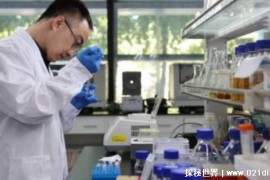 中国科学界重大突破 二氧化碳变身为糖（科学突破）