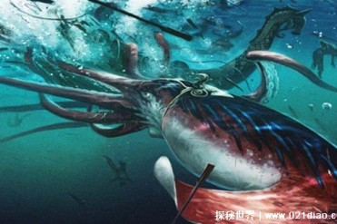 海洋中的巨大生物 体长13米以上（大王乌贼）