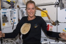  宇航员在太空吃的食物 都有那些科学原理（科学饮食）