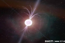 中子星的自转速度非常快 为何能够维持高速的自转
