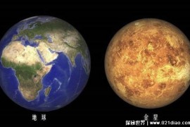 太阳系的行星哪一个缺失对地球影响最大（金星和火星）